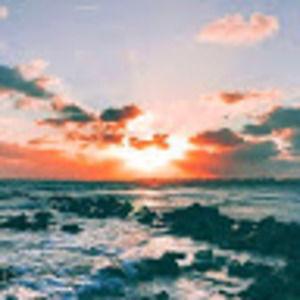 Meet your Posher, Logan